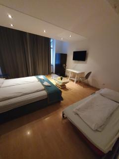 Sweet 2BR Apartment with Netflix near Belvedere Palace - 4