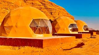 Wadi Rum Desert Life - 3