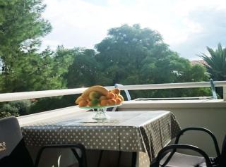 Apartments Despot Zaostrog - 0