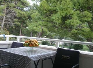 Apartments Despot Zaostrog - 9