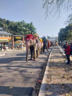 Annapurna View Lodge - 9