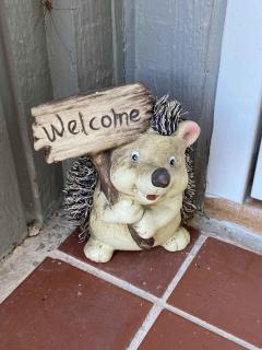 Magical Holiday For Kids And Adults - 8