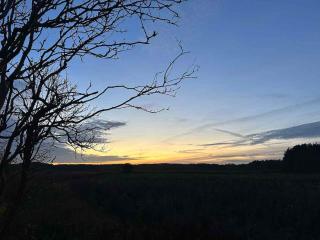 Small Oasis Near Coast And Town - 4