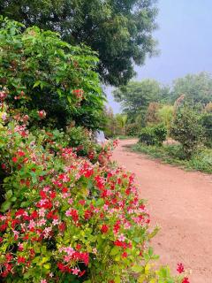 Anand Vanam, Kurichivayal -  - 5