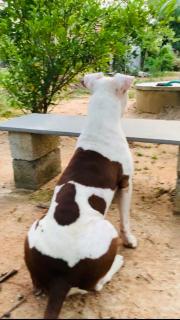 Anand Vanam, Kurichivayal - 7