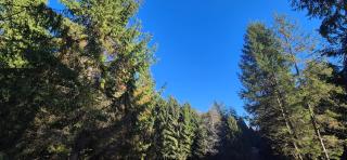 Family Residence Slănic-Moldova - 1