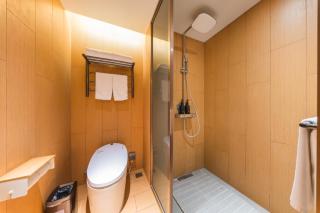 JI Hotel Shanghai World Expo Sanlin Road - 3