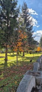 Family Residence Slănic-Moldova - 7