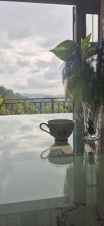 Sky rise mount hotel - 7