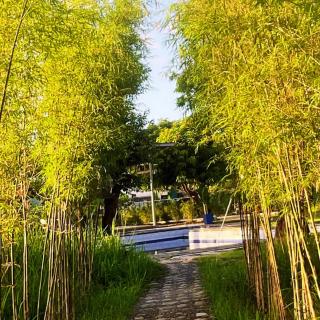 RiverCoves Resorts - 2