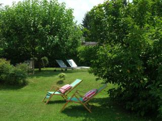 Olive Tree Hill - Zagarolo - 8