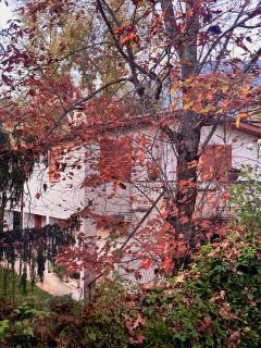 Il Bosco Guest House Subiaco - 3