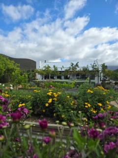 Klawerjas Flute Cottage - 9