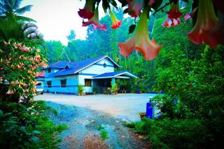 Green Palaces Homestay - 0