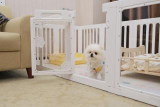 Guilin China Southern Pearl Hotel - 1