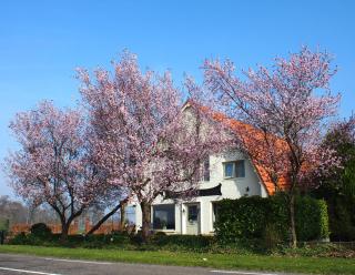 Afbeelding van de locatie