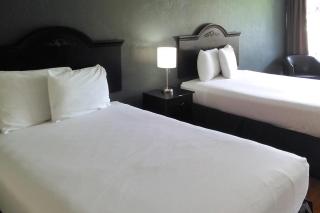 Econo Lodge Ormond Beach North - Daytona - 5