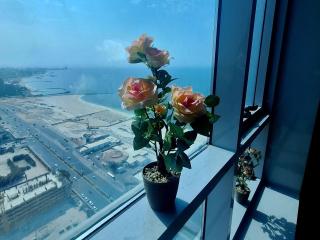 Luxury beach view apartment - 5