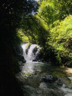 River Side Gorilla Resort Mussoorie - 6