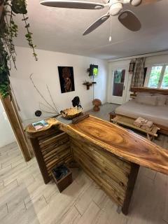 Studio avec jardin et piscine - 8