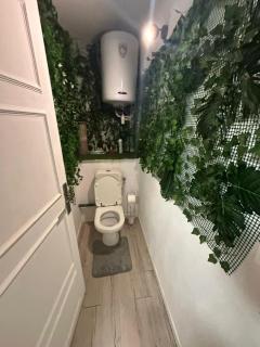 Studio avec jardin et piscine - 2