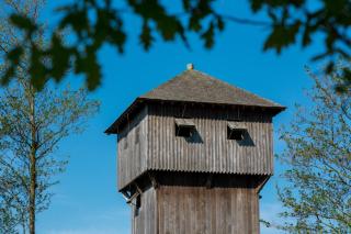 2-persoons vakantiehuis, dichtbij strand en bos in Domburg - 9