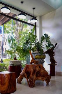 Tam Cốc Serenity Hotel - 1