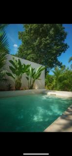 Mini tropical villa and private pool 1 - 0