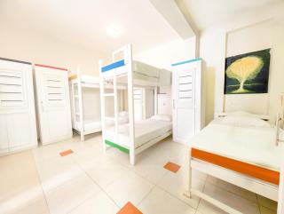 The Youth Hostel - It's a Youth Fame - 3