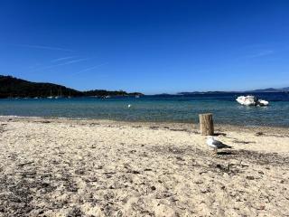 Le Cocon Provençal, T2 centre Hyères - 8