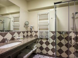 Hotel Mercure Krynica Zdrój Resort&Spa - 1