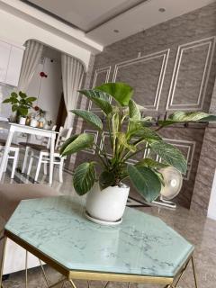 My Truong Chinh Street Homestay - 4