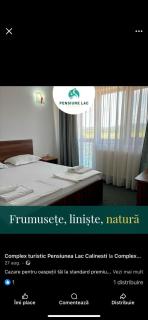 Pensiunea Lac Calinesti - 3