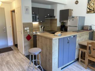 T2 avec vue sur les montagnes et wifi - 5