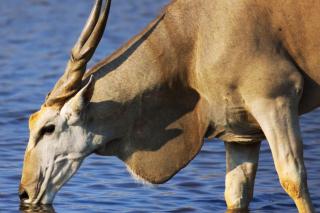 Luxury 4BR Drakensberg Home Private Pool and Braai - 2