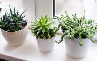test - 1