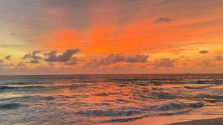 fruit paradise hotel - 5