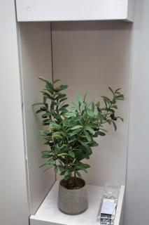 Sav City Viridis Tirana Center - 2