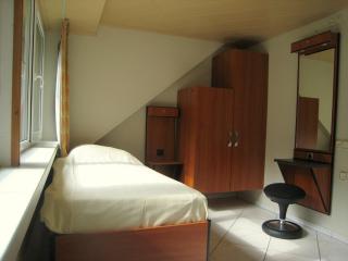 Villa in Lunteren with Heated Pool - 1