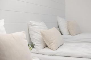 Aurora house near Santa Claus - 8