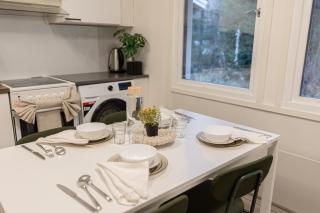 Aurora house near Santa Claus - 4