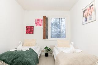 Aurora house near Santa Claus - 1