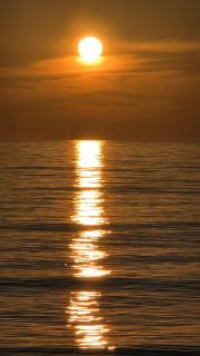 Seaside Retreat - 8