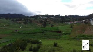 Bloom Hill Ooty - 1
