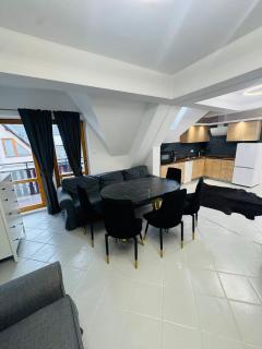 Golden Lion Zakopane Apartment - 0