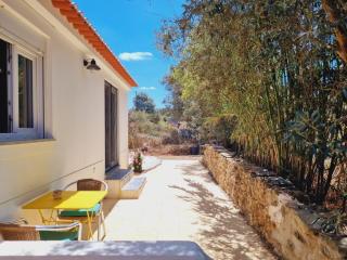 NEW T1 Apt In a Family farm - 4