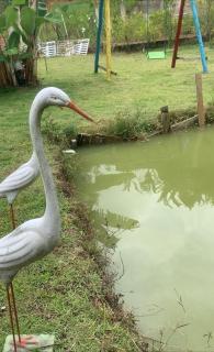 Casa Blanca - Casa na Serra - 3