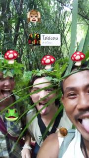 มาร์ติน ออแกนิคฟาร์ม &แค้มป์ - 0