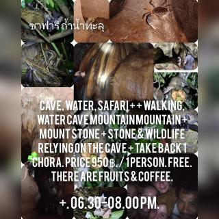 มาร์ติน ออแกนิคฟาร์ม &แค้มป์ - 8