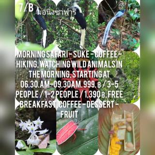 มาร์ติน ออแกนิคฟาร์ม &แค้มป์ - 5